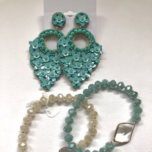 Blue Lagoon Earrings & Flamingo Stretch Bracelets